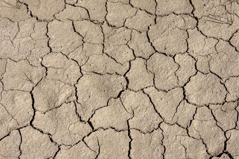 cambiamenti climatici