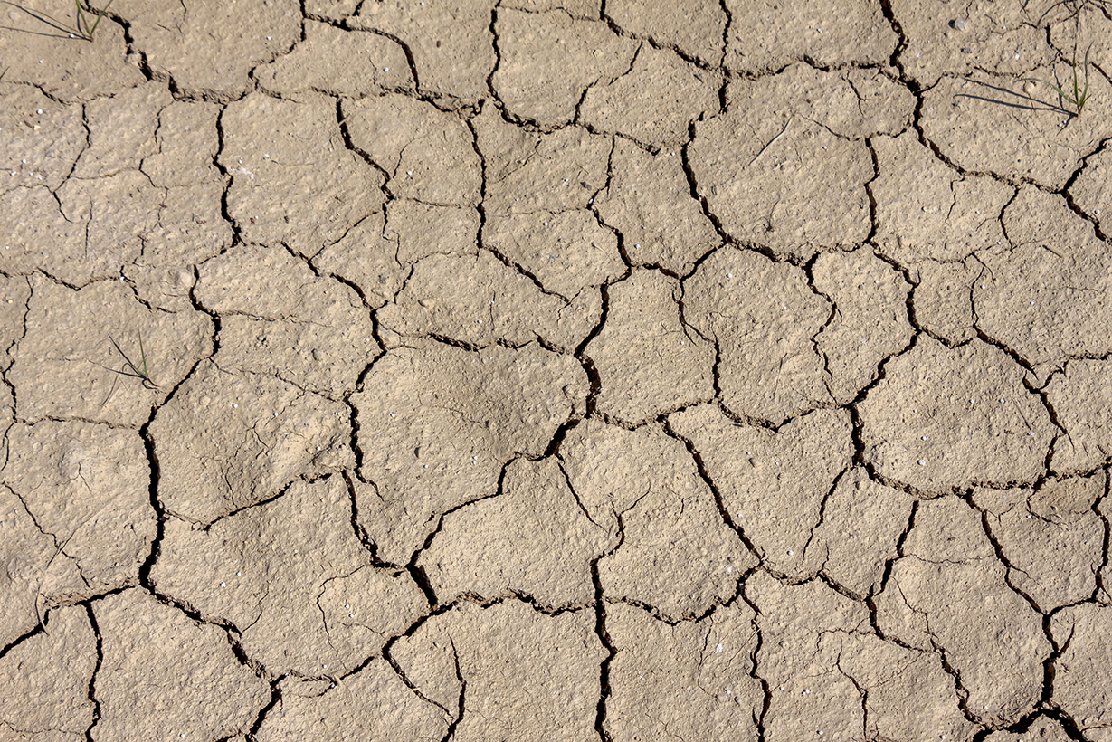 cambiamenti climatici