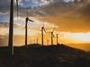 Erneuerbare Energieformen