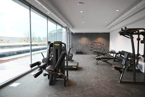 Palestra_web